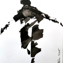 L'envol